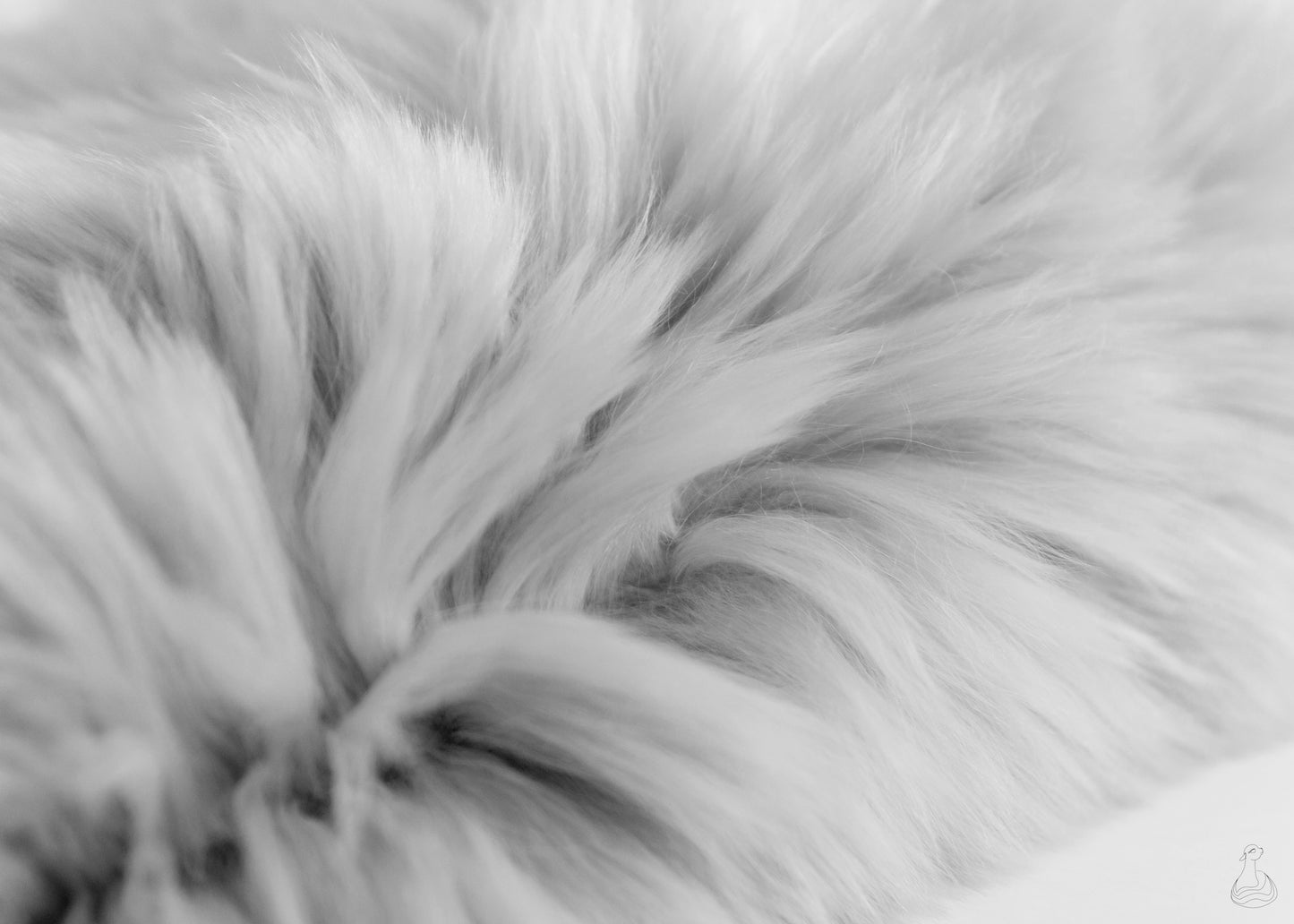 BABY ALPACA FUR BLANKET | Luxury Silver Mist Baby Alpaca Fur Throw