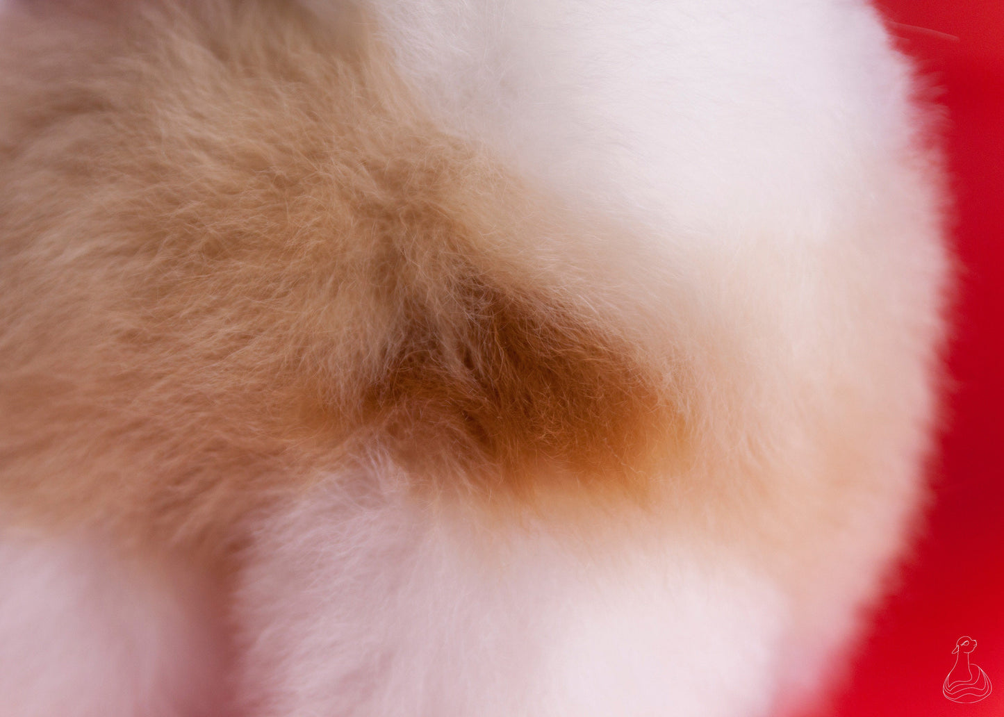 BABY ALPACA FUR TOY | Natural Colors Handcrafted Baby Alpaca Fur Stuffed Plush
