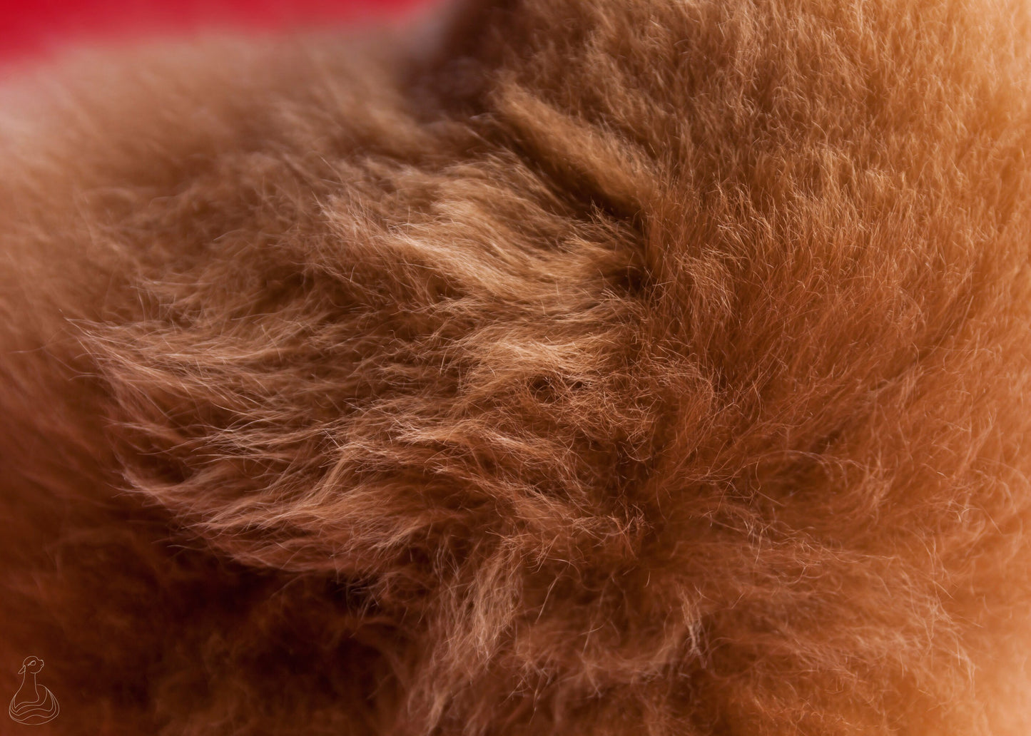 BABY ALPACA FUR TOY | Natural Colors Handcrafted Baby Alpaca Fur Stuffed Plush